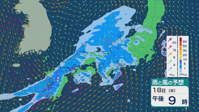 18日(水)から19日(木)にかけて低気圧が東へと進み九州から東北の広い範囲で雨に 太平洋側では雨の強まりに注意を  雨と風シミュレーション|TBS NEWS DIG