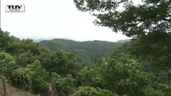 自然環境への懸念　鶴岡市が風力発電事業の中止を申し入れ　|　山形のニュース│TUYテレビユー山形