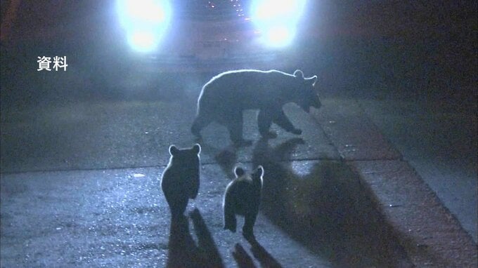 【クマ出没情報】猪苗代町若宮　親子グマか、3頭が水田に　14日午後6時半ごろ　福島　|　福島のニュース│TUF