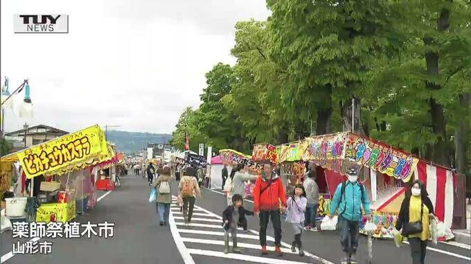 薬師祭植木市 4年ぶりの通常開催　お値段約200万円の植木も　|　山形のニュース│TUYテレビユー山形