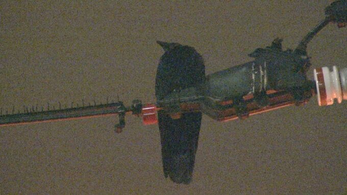 カラスとの15年戦争に終止符か？レーザー照射で撃退！姿を消した黒い歴史の街の攻防　富山・高岡市|TBS NEWS DIG