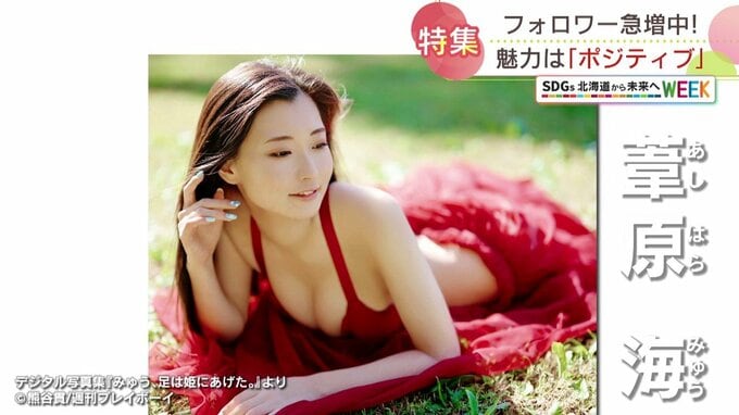「できなくなったことはあんまりない」両足を失っても明るさは失わない  多くの人々の心を引き付ける  笑顔はじける “車いすモデル” 葦原 海（あしはら みゅう）　|　北海道のニュース｜HBC北海道放送