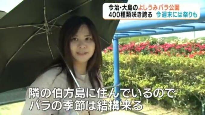 四国最大級「よしうみバラ公園」約４００種類咲き誇る 週末には祭りも【愛媛・今治】|TBS NEWS DIG