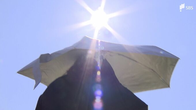 静岡市中心部で39.3℃　観測史上一番の暑さに　全国での今シーズンの最高気温も更新【速報】　|　静岡のニュース | SBSNEWS | 静岡放送