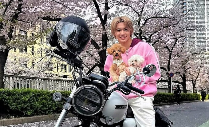 【今井暖大】　愛犬とお花見　「バイク×犬×桜は良すぎた」「幸せな時間でした」|TBS NEWS DIG