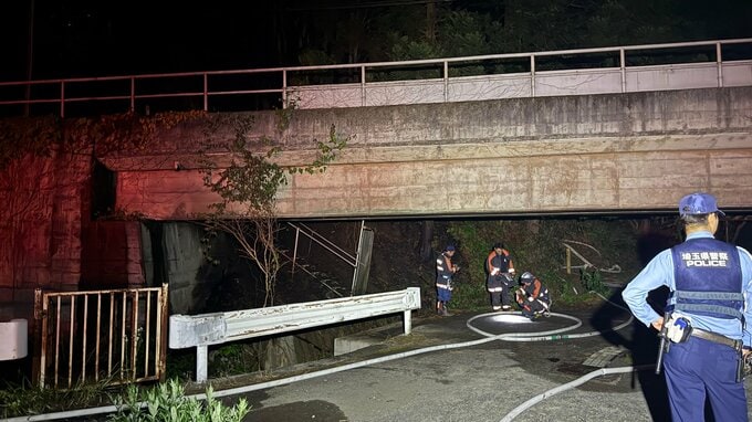 埼玉県の西武秩父線沿線で山林火災 一時運転見合わせ　横瀬町　けが人なし|TBS NEWS DIG