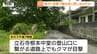 山寺周辺でクマ目撃続く　登山口近くでも出没…観光客からの問い合わせも　地元の店でもクマ鈴携帯など注意をよびかけ（山形）　|　山形のニュース│TUYテレビユー山形