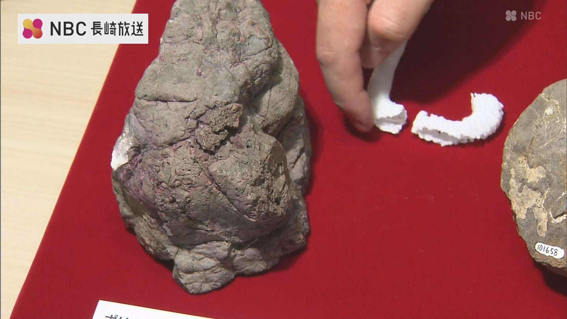 img_7f2980ebda973059635f3e877a