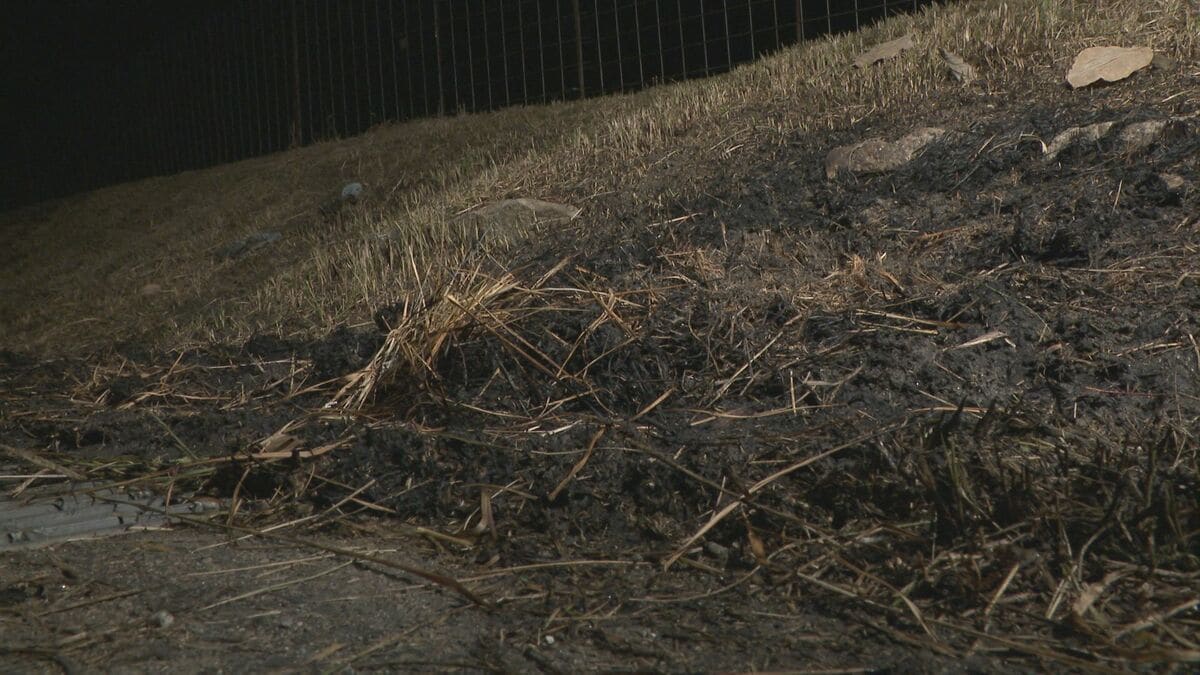 「野焼き中に火が体に燃え移った」自ら119番通報した80代くらいの男性　意識不明の重体か　愛知・豊田市