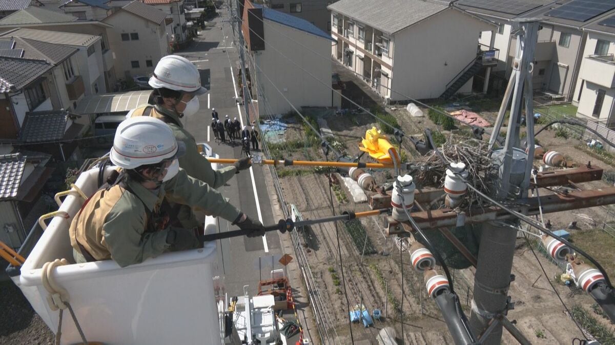 中電パワーグリッドがカラスの巣を撤去 去年2月~6月 県内で巣が原因とみられる停電は67件 ｢空のハンガーは置かないように｣ 愛知･清須市