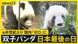 「忘れられない一日」上野・双子パンダ日本最後の日 “新たなパンダの貸与”は見通し立たず…中国「パンダを見に来ることを歓迎」【news23】|TBS NEWS DIG