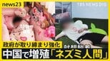 中国で増殖の「ネズミ人間」=“消極的な生活の象徴” 相次ぐSNSへの投稿に中国政府が取締り強化…アカウント閉鎖などの強硬措置も【news23】|TBS NEWS DIG