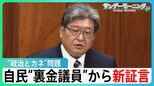 「安倍氏に相談」自民“裏金議員”が国会で新証言　真相解明は…【サンデーモーニング】|TBS NEWS DIG