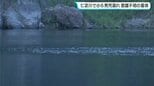 【意識回復】仁淀川で溺れ意識不明だった小6男児　意識が回復（高知）|TBS NEWS DIG