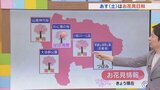 週末は5日土曜日がお花見日和 6日日曜日は雨が降りやすい天気に サクラの見頃情報も含め 米津龍一気象予報士が解説 山梨 | 山梨のニュース | UTYテレビ山梨