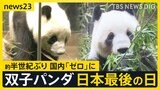 「忘れられない一日」上野・双子パンダ日本最後の日　“新たなパンダの貸与”は見通し立たず…中国「パンダを見に来ることを歓迎」【news23】|TBS NEWS DIG
