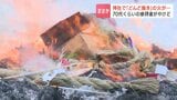 正月飾りを投げ入れようとして転倒…函館の神社のどんど焼きで参拝客の服に火が燃え移る　70代くらいの男性がやけど|TBS NEWS DIG