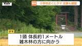 【現場動画】小学校からわずか200メートルの場所でクマ目撃　近くには足跡らしきものも見つかる（山形市）|TBS NEWS DIG