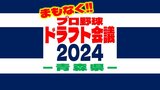 まもなく!運命のドラフト会議!“夢への切符”は誰の手に…【プロ志望届提出の青森県7選手まとめ】|TBS NEWS DIG