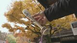 “絶対に落ちない” 仕掛けの縁起物 “合格かなうわバット”で受験生がんばれ! 岐阜・下呂市 | 名古屋・愛知・岐阜・三重のニュース【CBC news】 | CBC web
