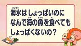 海水はしょっぱいのに、なぜ海の魚を食べてもしょっぱくないのかを調べてみた！【ものしりっス】　|　静岡のニュース | SBSNEWS | 静岡放送