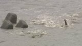 県内で大雨　交通機関や学校に影響　今後も土砂災害に注意・警戒続く　山梨|TBS NEWS DIG