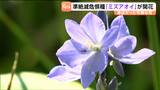 準絶滅危惧種「ミズアオイ」が大学の水田で開花　保全に向け学生たちがドローンで個体数調査　仙台|TBS NEWS DIG