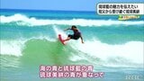 祖父から受け継ぐ琉球藍【わがまちLink41】 | 沖縄のニュース|RBC 琉球放送