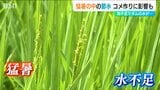 “水がめ”が貯水率20%以下に!稲作農家は天を仰ぐ日々『正善寺ダム』記録的少雨で4割以上の節水を求められる市民 新潟県上越市|TBS NEWS DIG