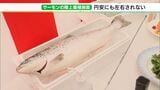  「将来的にはアジア諸国への輸出視野に」富士山麓で“サーモン養殖”　国内最大級の陸上養殖施設を公開＝静岡・小山町|TBS NEWS DIG