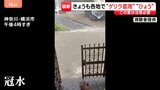 きょうも各地で“ゲリラ雷雨” 横浜では道路が冠水も|TBS NEWS DIG