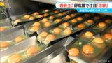 賞味期限2年の“たまご”「液卵」とは? 殻を割らずに茶碗蒸しも作れる 安定供給の秘密は「夏場に作ること」|TBS NEWS DIG
