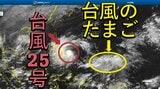 【台風情報】台風25号で終わらず⋯今後は台風のたまご(熱帯天気圧)が発生予想、海水温は高く、台風へ発達の可能性も　一部地域では今後、雨風に注意【雨風シミュレーション】|TBS NEWS DIG