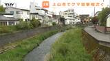 【現場動画】クマが上山市の住宅街に　姿を消すも市と警察が注意・警戒を呼びかけ　県はクマ出没注意報を発令中（山形）　|　山形のニュース│TUYテレビユー山形