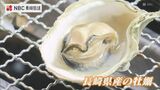 濃厚な牡蠣で味変も自在　長崎市伊王島に冬の味覚「牡蠣小屋」がプレオープン　|　長崎のニュース | 天気 | NBC長崎放送