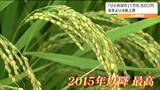 「コメづくりに意欲がわく農家が多いと思う」コメ概算金 ひとめぼれで前年より4500円アップ『60キロ1万6500円』2015年以降で最高 宮城|TBS NEWS DIG