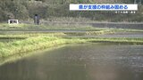 TSMC進出で地下水に関心高まる中　熊本県が『地下水涵養基金』を新設へ　|　熊本のニュース｜RKK NEWS｜RKK熊本放送