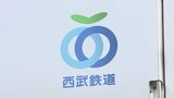 【速報】西武池袋線 運転見合わせの理由は“落雷” 午後11時10分に全線で運転再開　池袋－所沢間の上下線などで一時運転見合わせ|TBS NEWS DIG