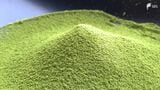 「まさに抹茶バブル」静岡茶の救世主になるか? 生産量2位転落も“世界的なブーム”に活路 【どうなる2026】⑤ | 静岡のニュース | SBSNEWS | 静岡放送