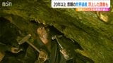 「この日を この時を待っていた」四半世紀にわたる悲願の成就『佐渡島の金山』世界遺産登録で浮上した課題 | 新潟のニュース・天気|BSN NEWS|BSN新潟放送