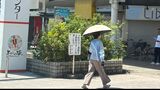 【気温上昇】高知県内各地で厳しい暑さ 午前11時半までに高知県内6地点で35℃を超える猛暑日に 熱中症対策を万全に【高知】 | 高知のニュース・天気|KUTV NEWS | KUTVテレビ高知