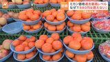 記録的高騰は野菜だけでなく…果物の価格が上昇 冬の風物詩ミカンが過去最高レベルに「買えない」 生産現場で一体何が?|TBS NEWS DIG
