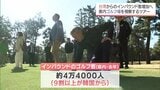台湾からのゴルフ客誘致へ　台湾の旅行会社担当者が宮崎県内のゴルフ場を視察　|　MRTニュース ｜ ＭＲＴ宮崎放送