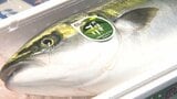 県産ブランド魚の「かぼすブリ」が旬入り宣言 本格的な出荷シーズン始まる 大分|TBS NEWS DIG