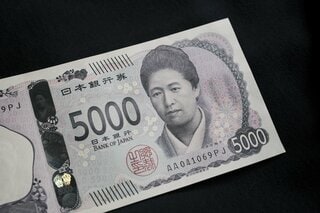円高加速でも崩れず、新興国通貨のキャリー取引に底堅さ－モルガンS| TBS CROSS DIG with Bloomberg