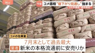 コメ価格“値下がり”見通し強まる　新米の本格流通を前に「コメ余り」も…政府の備蓄米買い戻しも影響か| TBS CROSS DIG with Bloomberg