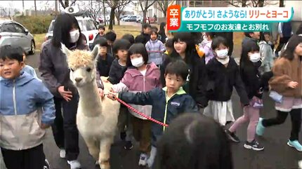 アルパカにさようなら」卒業の日を迎えたリリーとヨーコ 一緒に過ごし