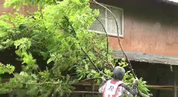 「まさかここまで…」【台風被害】「倒木相次ぐ…」長野・飯田市で道路わきの木が倒れ、物置にぶつかり屋根被害「鉄道運転見合わせ」や「停電」影響も|TBS NEWS DIG