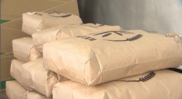 新米のシーズン　生産コストが上昇　安く買いたいという消費者の期待にどう応えるか…農家直販のコメ価格は？学校給食の現場は？　|　SBC NEWS | 長野のニュース | SBC信越放送