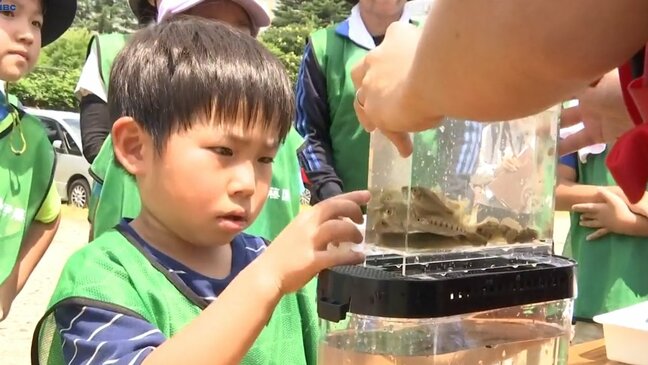 子どもたちが中津川河川敷で水生生物を調査　大谷翔平がデザインされた特別ボトルをプレゼント　岩手・盛岡市|TBS NEWS DIG